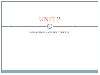 Chapter 2 Sensation & Perception modified.ppt